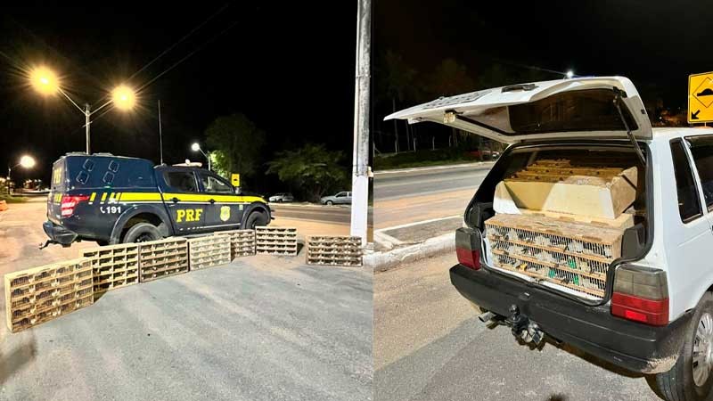 Foto: Ascom / PRF - BAHIA